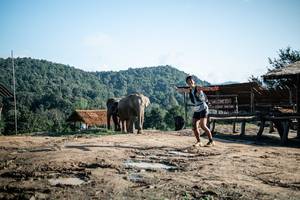 BIB: 
                            <button type="button" onclick="openModal(22422895)" class="btn btn-primary btn-sm float-right btn-popup" data-toggle="modal" data-target=".modal-high-quality">
                        <i class="fas fa-shopping-cart"></i> Add to Cart
                    </button>
                                            <button type="button" onclick="isThisMe(22422895, true)" class="btn btn-success btn-sm float-right btn-popup btn-isme hidden" data-toggle="tooltip" data-placement="bottom" title="นี่คือรูปของคุณใช่ไหม คลิกที่นี่เพื่อเอาเข้าอัลบั้ม">
                        <i class="fas fa-plus"></i> Add to album
                    </button>
                    <button type="button" onclick="isThisMe(22422895, false)" class="btn btn-warning btn-sm float-right btn-popup btn-isnotme hidden">
                        <i class="fas fa-ban"></i> Remove from album
                    </button>